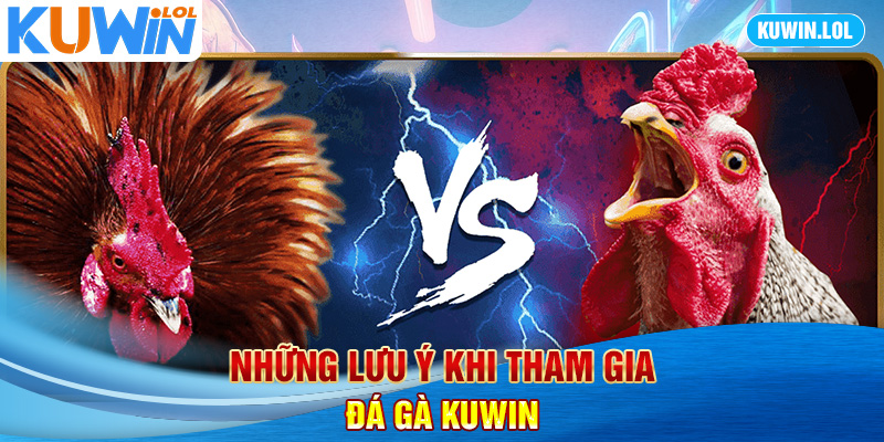 Những lưu ý khi tham gia đá gà KUWIN